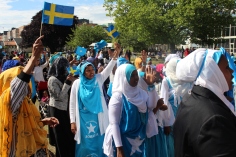 Somaliska nationaldagsfirandet i Folkets Park Malmö 26e juni 2014 2