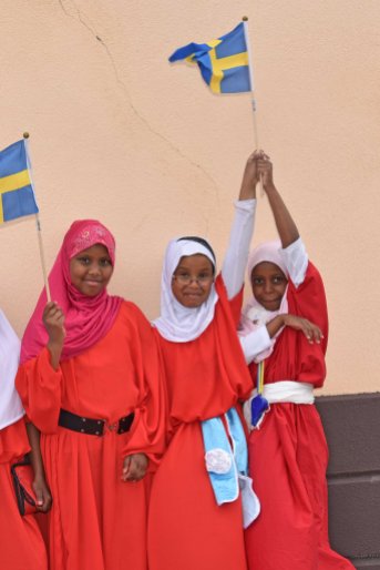 Svenska nationaldagen i Tomelilla Somaliska Freds och Somaliska Kulturföreningen 2015 - 3